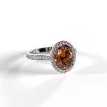Jewel