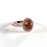Jewel
